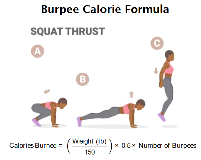 Burpee Calorie Calculator